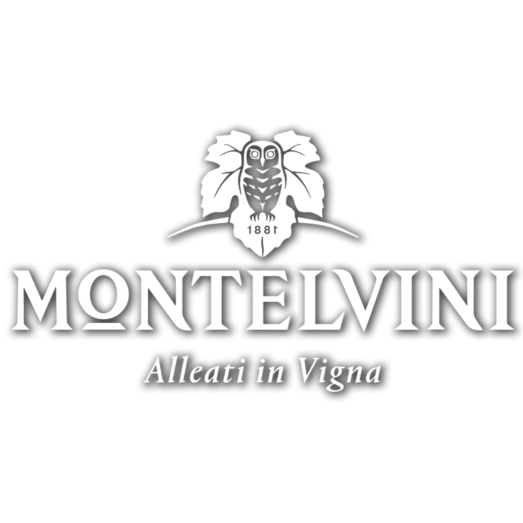 Montelvini_Logo